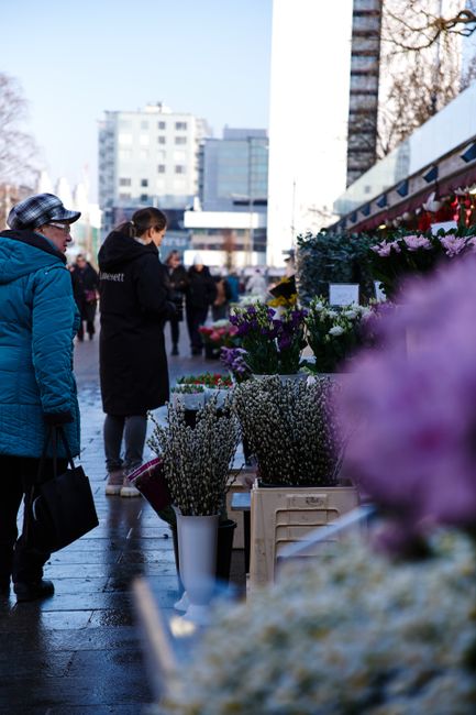 A busy outdoor flower market with floral stalls displaying a variety of fresh flowers including purple, white, and pink blossoms arranged in white and brown vases and crates. Customers, wrapped in war